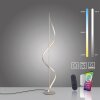 Paul Neuhaus zilveren LED vloerlamp Q-SWING, instelbare lichtkleur 2700-5000 Kelvin