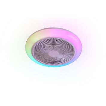Reality RGB-ledplafondventilator Holmsund, instelbare lichtkleur 3000-6500 Kelvin