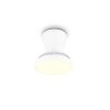 Reality LED plafondventilator met licht Moss, instelbare lichtkleur 2700-6500 Kelvin