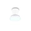 Reality LED plafondventilator met licht Moss, instelbare lichtkleur 2700-6500 Kelvin