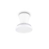 Reality LED plafondventilator met licht Moss, instelbare lichtkleur 2700-6500 Kelvin