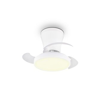 Reality LED plafondventilator met licht Moss, instelbare lichtkleur 2700-6500 Kelvin