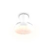 Reality LED plafondventilator Boras, instelbare lichtkleur 2700-6500 Kelvin
