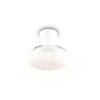 Reality LED plafondventilator Boras, instelbare lichtkleur 2700-6500 Kelvin