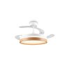 Reality LED plafondventilator Volda, instelbare lichtkleur 2700-6500 Kelvin
