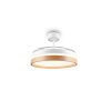 Reality LED plafondventilator Volda, instelbare lichtkleur 2700-6500 Kelvin
