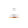 Reality LED plafondventilator Volda, instelbare lichtkleur 2700-6500 Kelvin