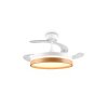 Reality LED plafondventilator Volda, instelbare lichtkleur 2700-6500 Kelvin