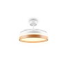 Reality LED plafondventilator Volda, instelbare lichtkleur 2700-6500 Kelvin