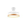 Reality LED plafondventilator Volda, instelbare lichtkleur 2700-6500 Kelvin