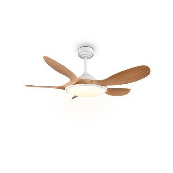Reality LED-plafondventilator Flen, instelbare lichtkleur 2700-6500 Kelvin