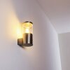 Bodio Buiten muurverlichting Chroom, 1-licht