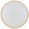 Brilliant LED-plafondlamp Alson, dimbaar op afstand, instelbare lichtkleur 3000-6500 Kelvin