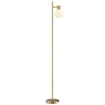 Brilliant landelijke staande lamp Cony met draaibare lampkop en ronde witte glazen kap