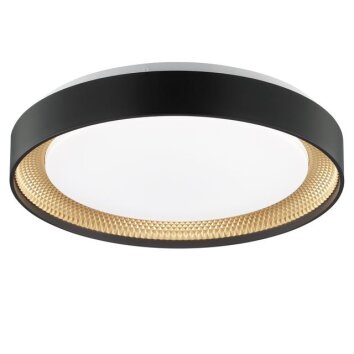 Brilliant plafondlamp Waldo, met afstandsbediening, lichtkleur instelbaar 3000-6500 Kelvin
