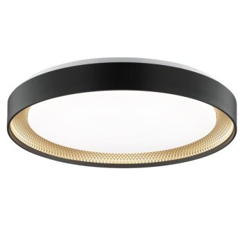 Brilliant LED-plafondlamp Waldo, afstandsbediening, instelbare lichtkleur 3000-6500 Kelvin