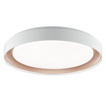 Brilliant ronde LED-plafondlamp Waldo, wit, lichtkleur instelbaar 3000-6500 Kelvin