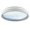 Brilliant LED-plafondlamp Sky-Dream, lichtkleur instelbaar 3000-6500 Kelvin