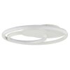 Brilliant LED-plafondlamp Runda, ringen, geheugenfunctie, 3000 Kelvin warmwit