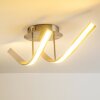 Aranu Plafondlamp LED roestvrij staal, Nikkel mat, 2-lichts