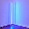 Flaut Staande lamp LED Chroom, 1-licht, Afstandsbediening, Kleurwisselaar