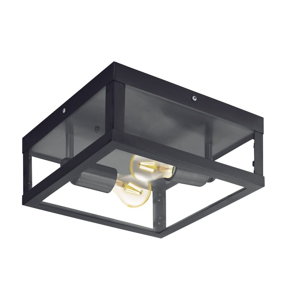 Eglo ALAMONTE 1 Plafondlamp Zwart, 2-lichts main product photo