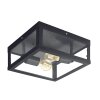 Eglo ALAMONTE 1 Plafondlamp Zwart, 2-lichts