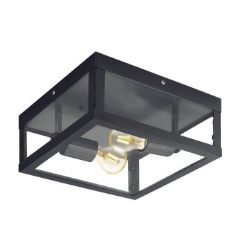 Eglo ALAMONTE 1 Plafondlamp Zwart, 2-lichts