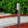 Skove Padverlichting LED Antraciet, 1-licht