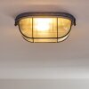 Catawba Plafondlamp Grijs, 1-licht