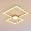 Narpes Plafondlamp LED Nikkel mat, 1-licht