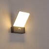 Heraklion Buiten muurverlichting LED Antraciet, 1-licht