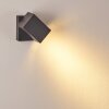 Bregenz Buiten muurverlichting LED Antraciet, 1-licht