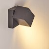 Bregenz Buiten muurverlichting LED Antraciet, 1-licht