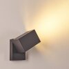 Bregenz Buiten muurverlichting LED Antraciet, 1-licht