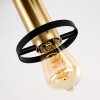 Alvesta Plafondlamp Goud, Messing, Zwart, 3-lichts
