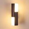 Baulund Buiten muurverlichting LED Antraciet, 1-licht