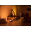 Philips Hue Ambiance White & Color Play Lightbar Dubbelpak basisset LED Zwart, Wit, 2-lichts, Kleurwisselaar