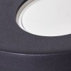 Windhoek Buiten muurverlichting LED, 2-lichts