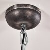 Ilvy Hanger LED Zwart, 1-licht