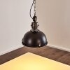 Ilvy Hanger LED Zwart, 1-licht