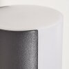 Baulund Buiten muurverlichting LED Antraciet, 1-licht, Bewegingsmelder