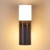 Baulund Buiten muurverlichting LED Antraciet, 1-licht, Bewegingsmelder