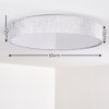 Tallaboa Plafondlamp LED Zilver, 1-licht, Afstandsbediening