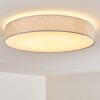 Tallaboa Plafondlamp LED Zilver, 1-licht, Afstandsbediening