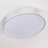 Tallaboa Plafondlamp LED Zilver, 1-licht, Afstandsbediening