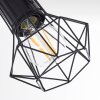 Bardhaman Plafondlamp Zwart, 3-lichts