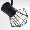 Bardhaman Plafondlamp Zwart, 3-lichts