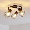 Bardhaman Plafondlamp Zwart, 3-lichts