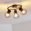 Bardhaman Plafondlamp Zwart, 3-lichts